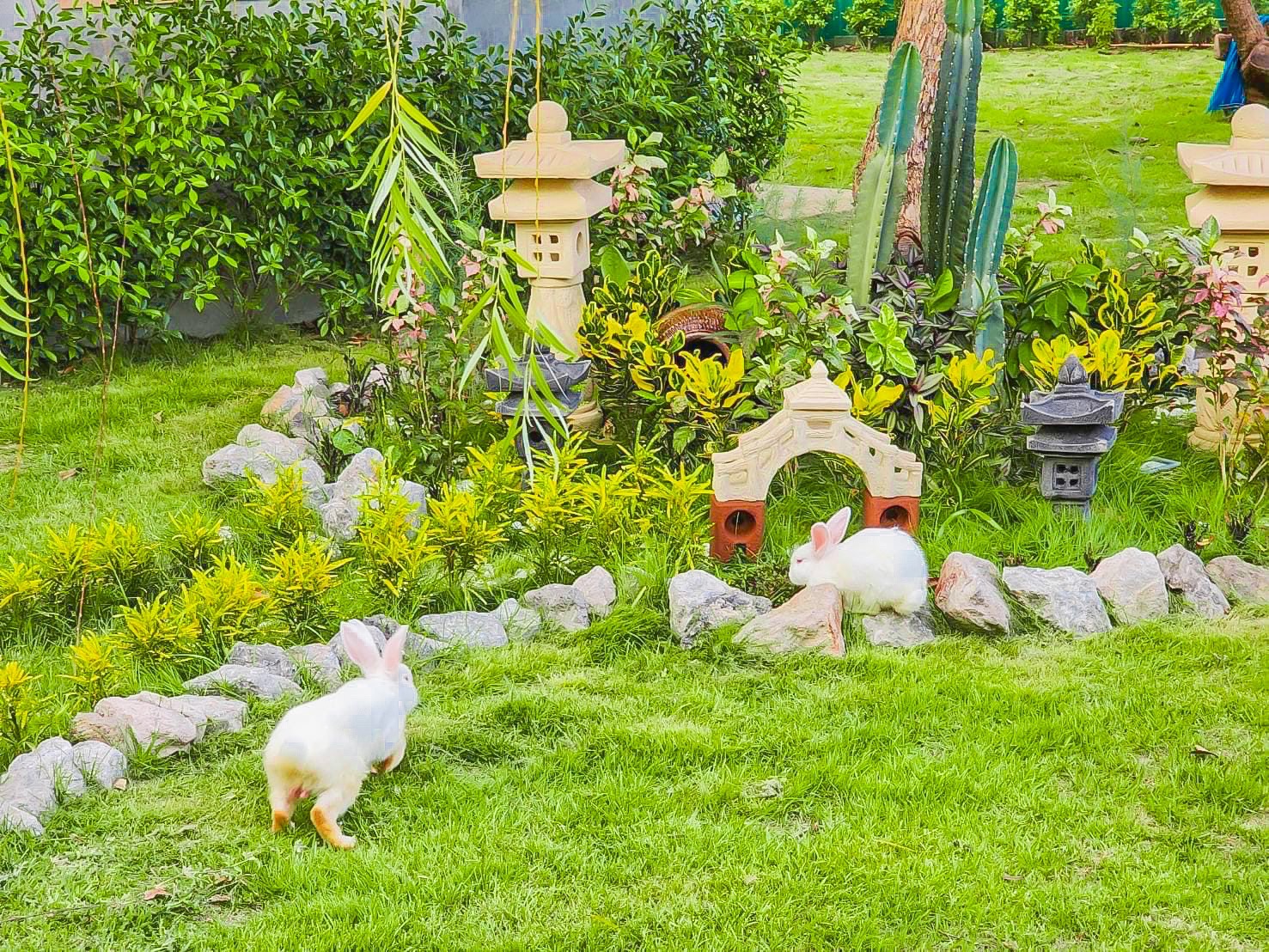 บ้านพักสวนผึ้ง,ที่พักสวนผึ้ง